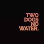 two dogs no water